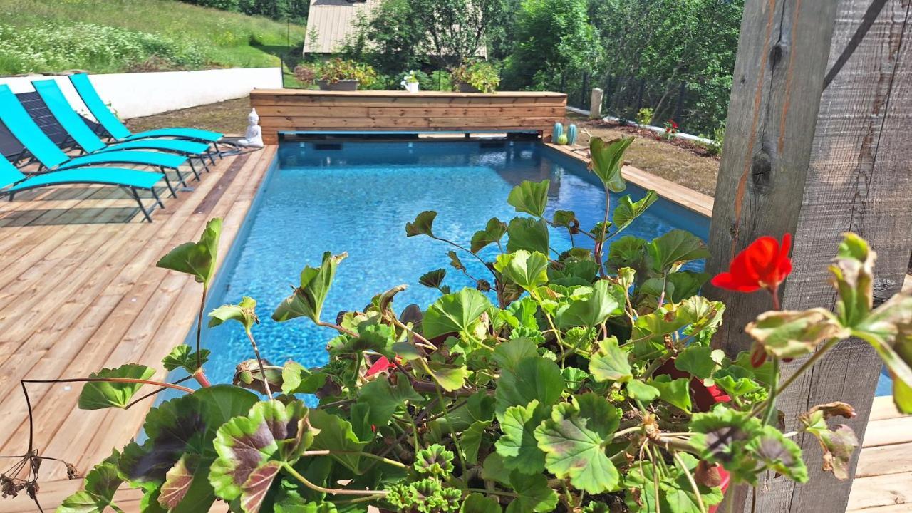 Chalet Serre Cambeou Piscine&Spa Сен-Шафре Екстериор снимка